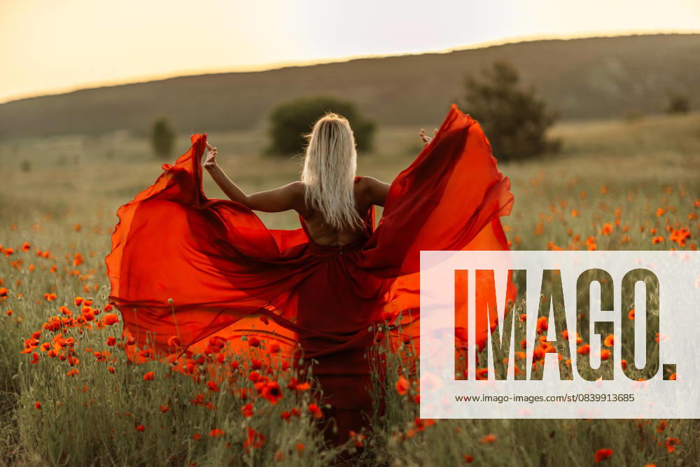 Woman poppy field red dress sunset. Happy woman in a long red dress in a beautiful large poppy field. Blond stands with her back posing on a large field of red poppies Woman poppy field red dress sunset. Happy woman in a long red dress in a beautiful large poppy field. Blond stands with her back posing on a large field of red poppies., 62141058.jpg RECORD DATE NOT STATED