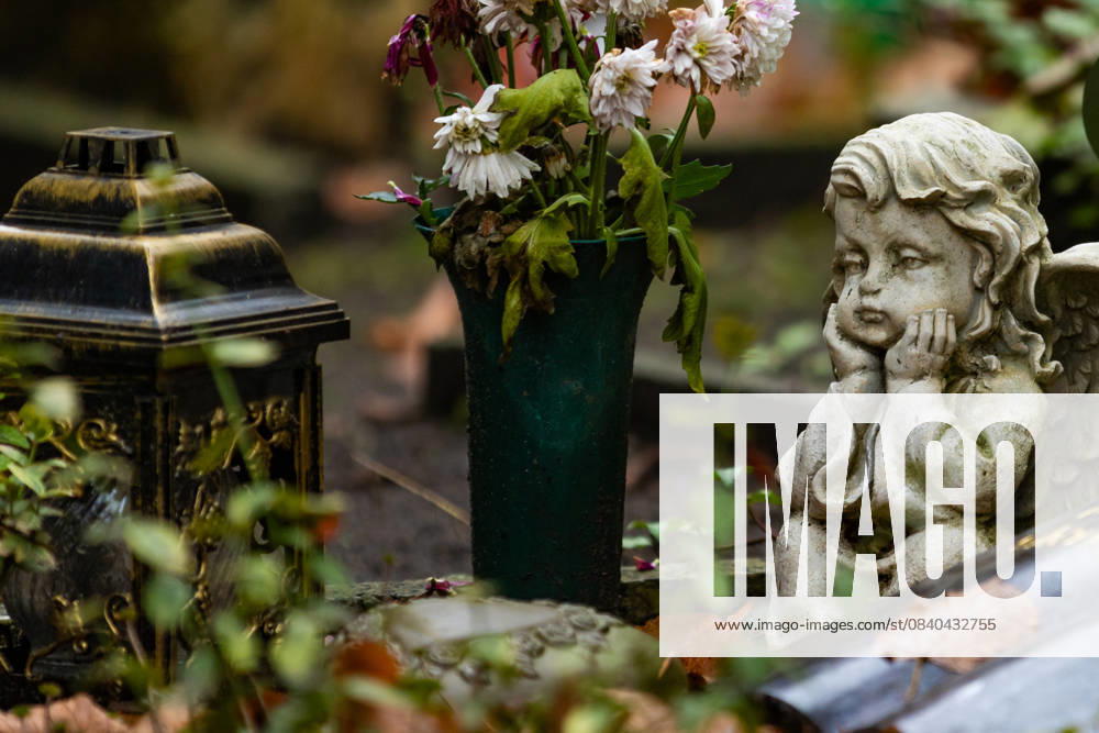 Totensonntag - Spaziergang und Fotoreportage am 16. November 2025 auf dem Sophien-Friedhof in Berlin Mitte an der Ackerstraße. Berlin Berlin Deutschland _H0A7951