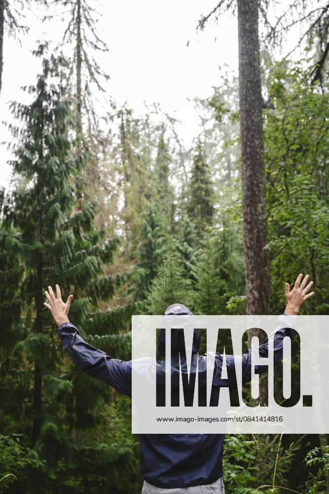 IMAGO Creative, Jahreszeit Sommer, Regen, Sommerregen Person in hooded jacket with arms raised enjoying summer forest model released, Symbolfoto, EYAF03692