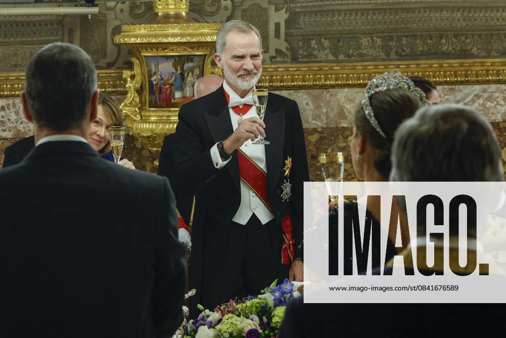 Spain s King Felipe VI (C) delivers a speech during the gala dinner hosted in honor of the German President Frank-Walter Steinmeier at the Royal Palace in Madrid, Spain, 26 November 2025. Gala dinner hosted for German President Frank-Walter Steinmeier !ACHTUNG: NUR REDAKTIONELLE NUTZUNG!
