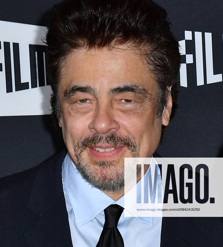 2025 SFFILM Awards Night - Arrivals Benicio del Toro attends the 2025 SFFILM Awards at Gateway Pavilion on December 8, 2025 in San Francisco, California. San Francisco Gateway Pavilion California USA