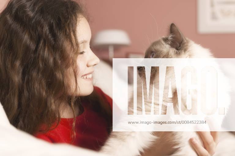 Hauskatze, Haus-Katze (Felis silvestris f. catus), junges Maedchen sitzt auf dem Sofa und spielt mit der Katze, Deutschland domestic cat, house cat (Felis silvestris f. catus), young girl on a sofa playing with her cat, Germany BLWS487031