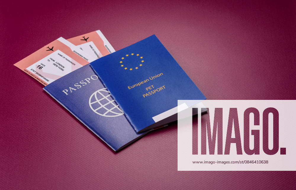 Ein Heimtierausweis ist ein Dokument für eine Katze, einen Hund oder ein anderes Tier. Ein Heimtierausweis A pet passport is a document with vaccination and travel information for a cat, dog, or other animal. A pet passport as a background for your design. (License=RF)