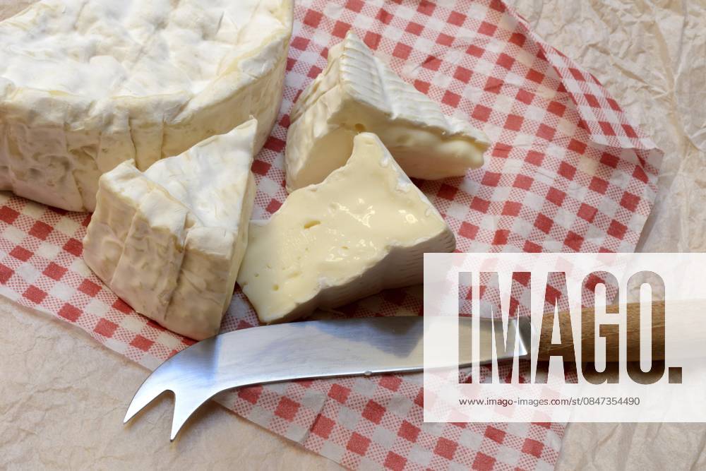 Französischer Camembert in Stücken, Frankreich French Camembert in pieces, France