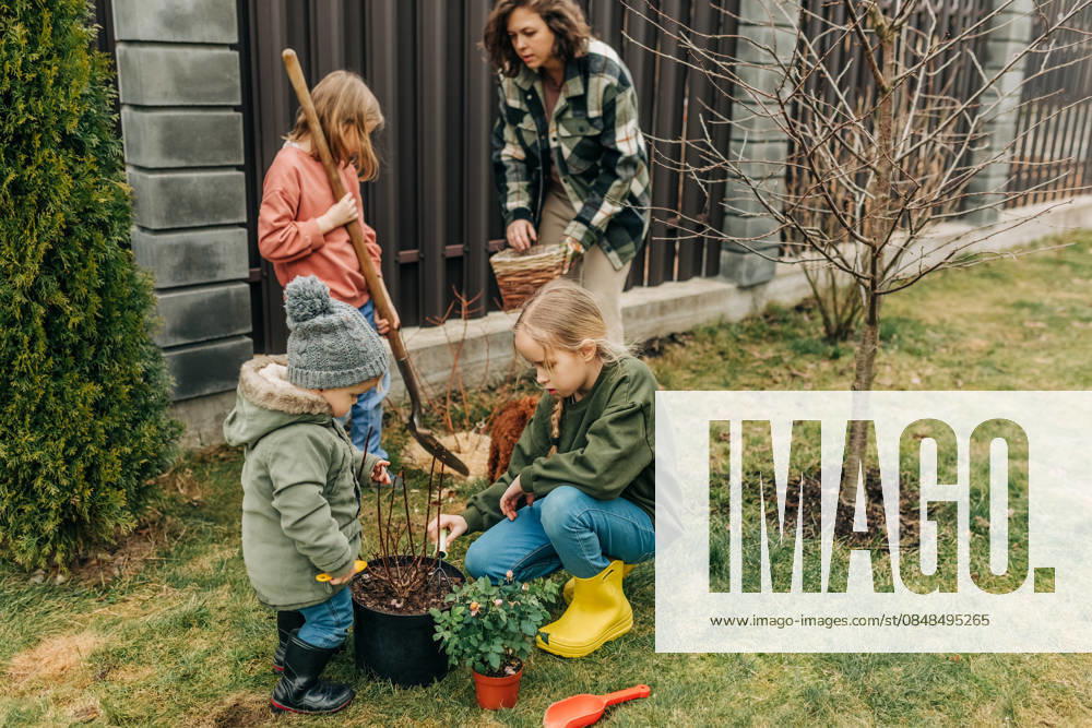 Family and children gardening together in backyard during spring model released, Symbolfoto, NASF00112