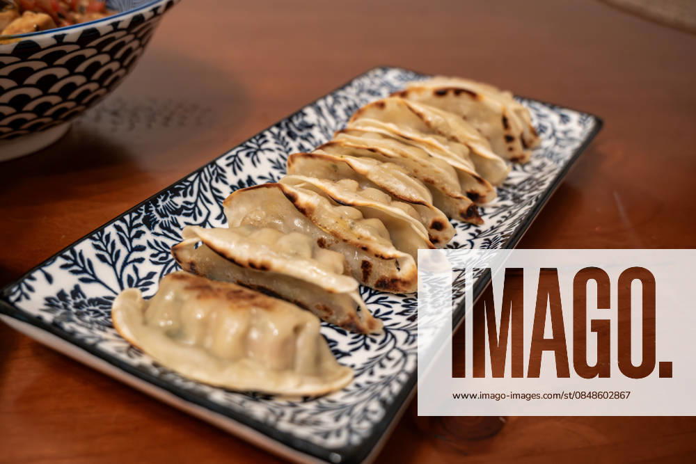 IMAGO Creative, Food, Dumplings Gebratene Teigtaschen auf dekorativem Servierteller 18.02.26, Eisenbach: Symbolfoto, Illustrationsbild, Symbolbild, Illustrationsfoto, Alltagsszene Nahaufnahme von gebratenen Teigtaschen, angerichtet auf einem rechteckigen Servierteller mit dekorativem Muster. Foodaufnahme auf einem Holztisch mit selektiver Schärfe und warmem Licht. Symbolbild für asiatische Küche, Fingerfood und kulinarische Vielfalt. Eisenbach Hessen Deutschland