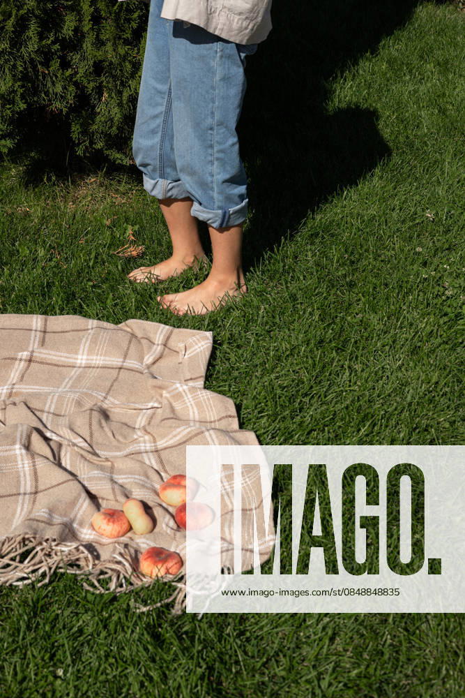 MR_ID32570_23665_PolinaSakharova.jpg A girl standing barefoot on grass near a picnic setup with a blanket and saturn peaches. The setting captures a serene outdoor moment under the sun. Model Released Anastasiya_ID32570_1109709_011