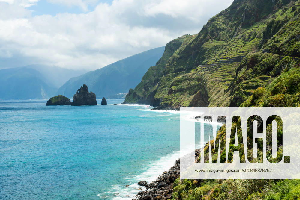 Coastal landscape of Madeira, Portugal with rocky shores Scenic view of the lush green cliffs meeting the azure Atlantic Ocean on Madeira Island, Portugal. Rugged rocks and vibrant vegetation highlight the island natural beauty. Model Released FranciscoCarrodeguas_ID31901_1085776_013