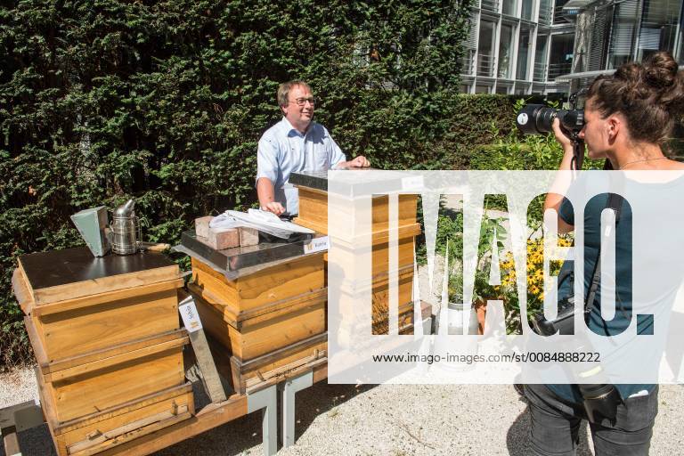 Umwelt Honigernte Bundestags-Bienen Honigernte bei den Bundestags-Bienen. Oliver Krischer, Bienen-Vater des Parlaments und Vizechef der Bundestagsfraktion der Gruenen erntete zusammen mit seinem Mitarbeiter Daniel Holstein und dem Imker Dr. Benedikt Polaczeck von der Technischen Universitaet, am Dienstag den 7. August 2018 im Paul-Loebe-Haus den Honig der Bundestagsbienen. Insgesamt wird eine Ernte von bis zu 100 Kilogramm von den drei Bienenvoelkern erwartet. Die Bienenvoelker wurden 2016 als Zeichen gegen das Bienensterben von der gruenen Bundestagsabgeordneten Baerbel Hoehn aufgestellt. Im Bild: Oliver Krischer an den drei Bienenvoelkern Sylvia, Katrin und Annalena (vlnr.). 7.8.2018, Berlin