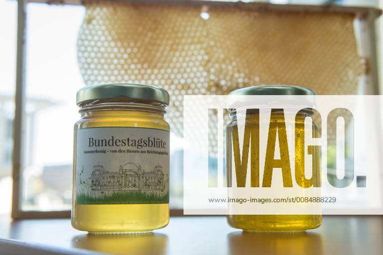 Umwelt Honigernte Bundestags-Bienen Honigernte bei den Bundestags-Bienen. Oliver Krischer, Bienen-Vater des Parlaments und Vizechef der Bundestagsfraktion der Gruenen erntete zusammen mit seinem Mitarbeiter Daniel Holstein und dem Imker Dr. Benedikt Polaczeck von der Technischen Universitaet, am Dienstag den 7. August 2018 im Paul-Loebe-Haus den Honig der Bundestagsbienen. Insgesamt wird eine Ernte von bis zu 100 Kilogramm von den drei Bienenvoelkern erwartet. Die Bienenvoelker wurden 2016 als Zeichen gegen das Bienensterben von der gruenen Bundestagsabgeordneten Baerbel Hoehn aufgestellt. Im Bild: Der frisch geschleuderte Bundestagshonig. 7.8.2018, Berlin