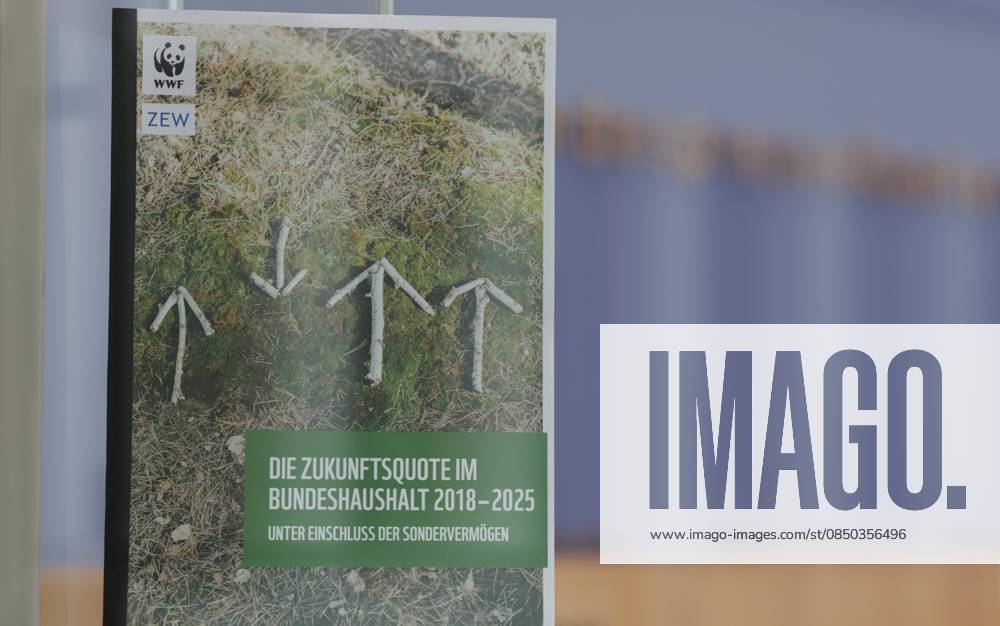 Deutschland, Berlin, Bundespressekonferenz, Thema: Zukunftsquote 2025 – eine aktuelle Berechnung zum Haushalt vom Zentrum für Europäische Wirtschaftsforschung (ZEW) und dem WWF Deutschland