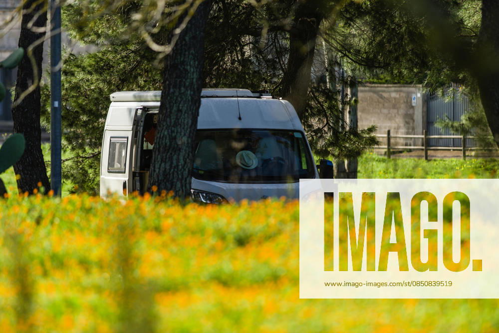 Ein Campervan steht zwischen Bäumen inmitten einer Ringelblumenwiese im Salento, Apulien, Italien. Ein Campervan steht in der Naturlandschaft neben einer Blumenwiese