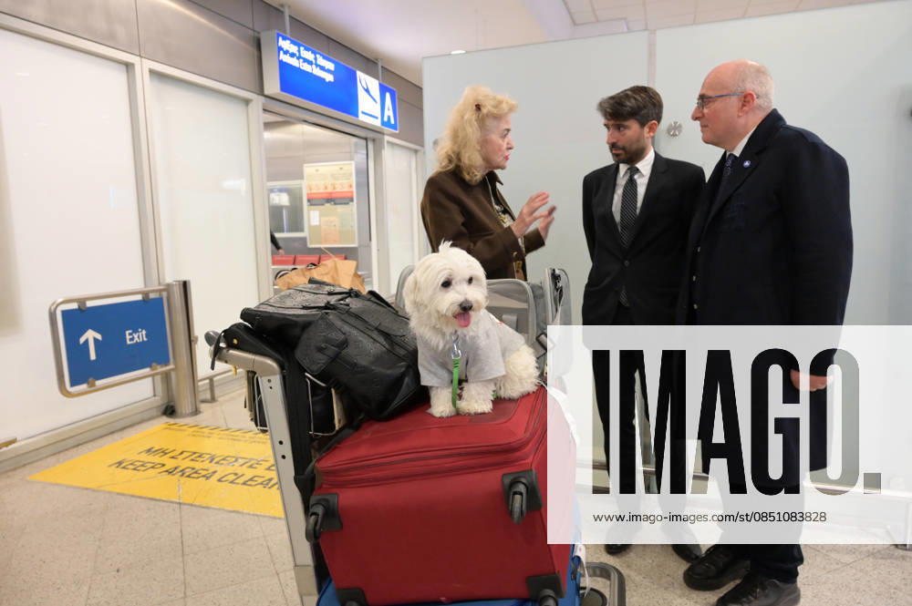 Repatriation Flight From Abu Dhabi Carrying Greeks And Their Pets Arrives In Athens A passenger on board a repatriation flight from Abu Dhabi arrives with her dog at Athens International Airport, Greece, on March 18, 2026. This special Aegean Airlines flight is organized by the Greek government to bring home 101 Greek nationals residing in the United Arab Emirates, along with their pets, due to wider disruptions in the area involving Iran. Athens Greece