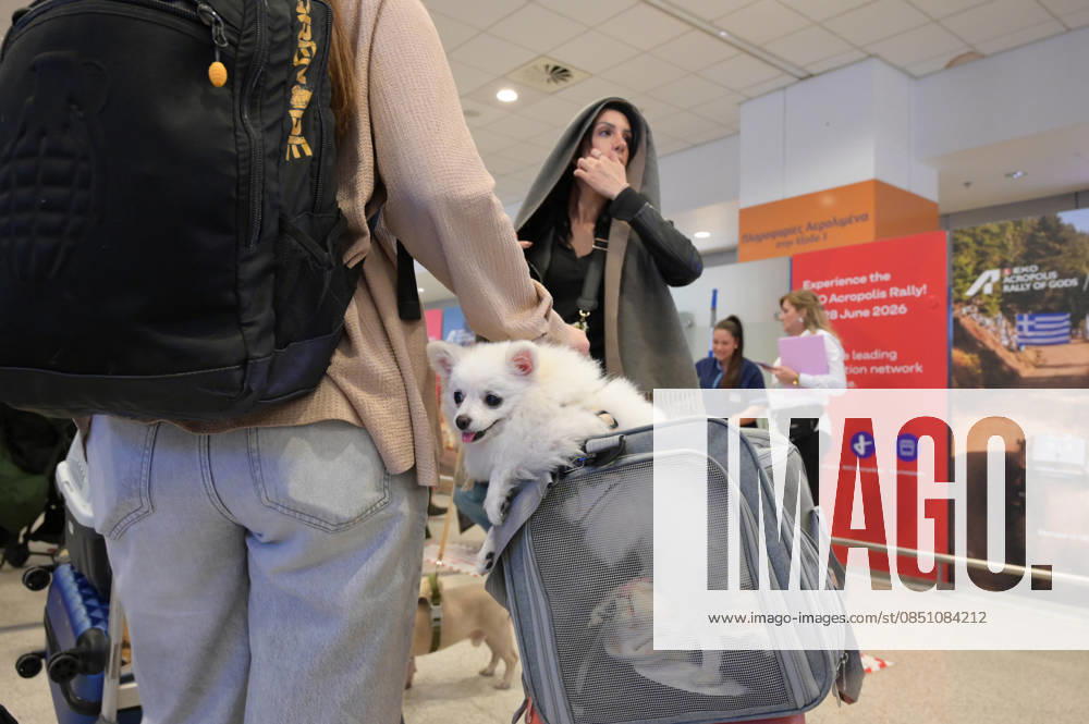 Repatriation Flight From Abu Dhabi Carrying Greeks And Their Pets Arrives In Athens A passenger on board a repatriation flight from Abu Dhabi arrives with her dog at Athens International Airport, Greece, on March 18, 2026. This special Aegean Airlines flight is organized by the Greek government to bring home 101 Greek nationals residing in the United Arab Emirates, along with their pets, due to wider disruptions in the area involving Iran. Athens Greece