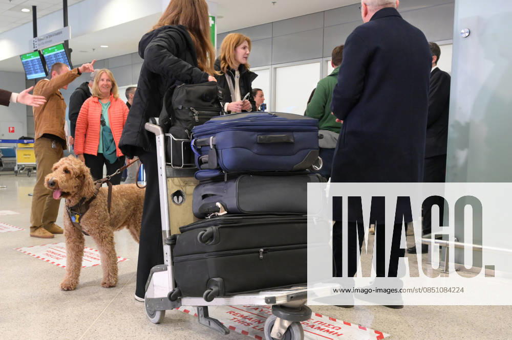 Repatriation Flight From Abu Dhabi Carrying Greeks And Their Pets Arrives In Athens A passenger on board a repatriation flight from Abu Dhabi arrives with her dog at Athens International Airport, Greece, on March 18, 2026. This special Aegean Airlines flight is organized by the Greek government to bring home 101 Greek nationals residing in the United Arab Emirates, along with their pets, due to wider disruptions in the area involving Iran. Athens Greece