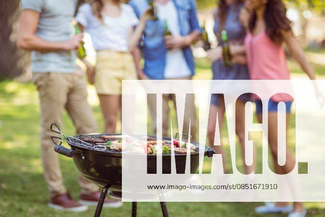 Happy friends in the park having barbecue Happy friends in the park having barbecue on a sunny day, model released, Cape Town, South Africa, 25.03.2015, 519574.jpg, lifestyle, leisure, park, countryside, nature, parkland, lawn, green, tree, summer, spring, sunny, bright, sunshine, friendship, together, affection, relationship, fondness, friendliness, closeness, companionship, friend, friendly, weekend activity, weekend activities, happy, smiling, cheerful, lunch, meal, skewer, al fresco, barbecue, cooking 20s, Young Adult, Man, Male, Caucasian, Teenager, Girl, Female, Woman, Mixed-Race, Hispanic, 20-24 Years, Young Men, Caucasian Ethnicity, 16-17 Years, Teenage Girls, Young Women, Mixed-Race Person, 25-29 Years, Hispanic Ethnicity Outdoor