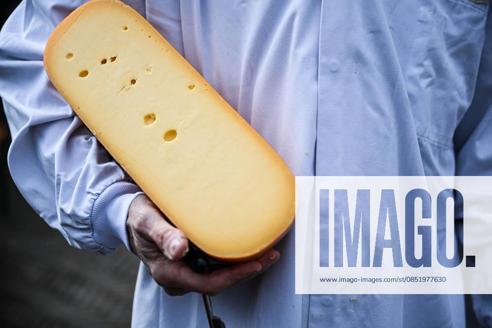 Cheese Market Season Opens in Alkmaar, Netherlands ALKMAAR, NETHERLANDS — MARCH 27: Visitors gathered for the opening, as the market continues to attract tourists from across Europe each year and remains a notable cultural attraction in Alkmaar, the Netherlands on March 27, 2026. The cheese market season opened at Waagplein in Alkmaar, marking the return of a well-known traditional event. Mouneb Taim Anadolu Alkmaar Netherlands. Editorial use only. Please get in touch for any other usage.