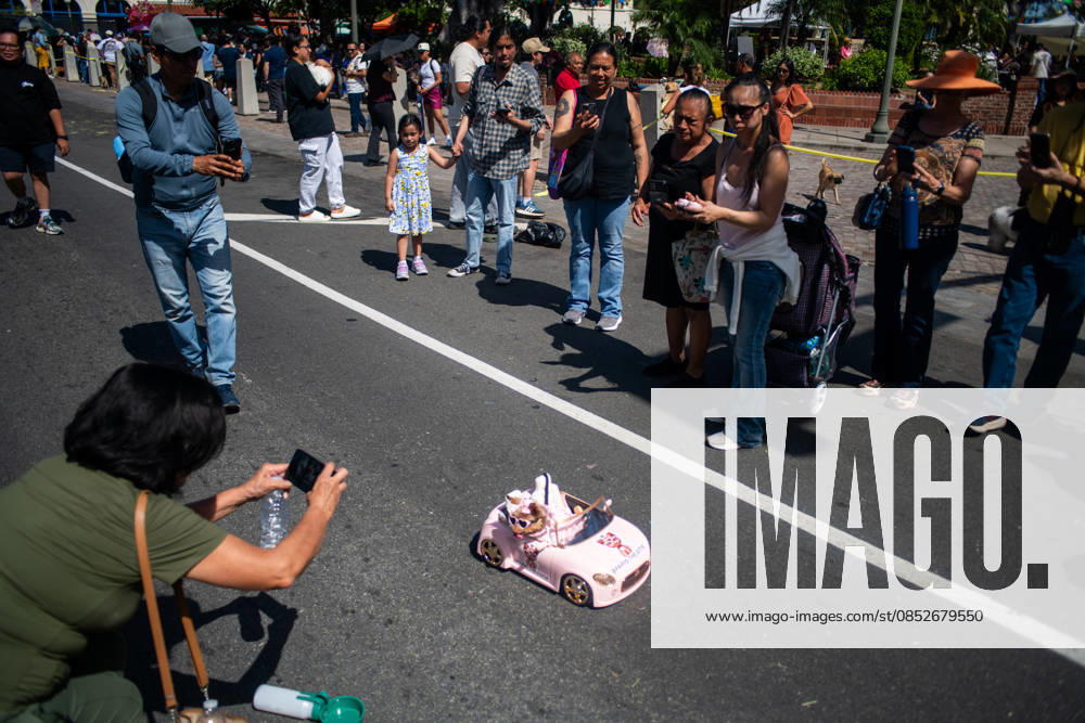 People gather and take photographs of a small dog in a remote controlled car during the yearly Blessing of the Animals at Olvera Street on Saturday, April 4, 2026 in Los Angeles, California. Los Angeles USA - ZUMAh206 20260404_znp_h206_007