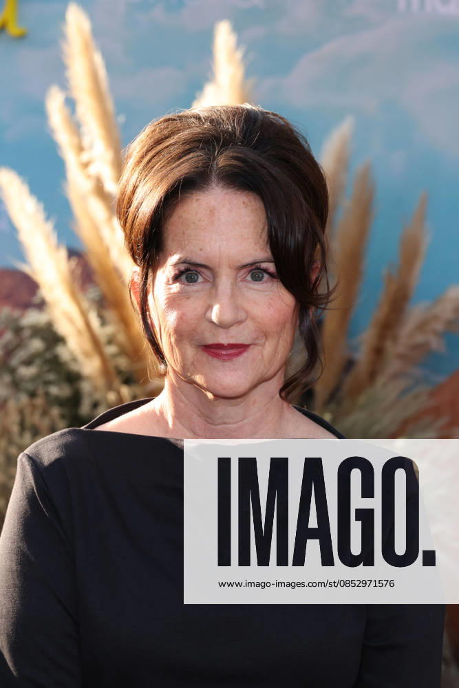 Los Angeles Premiere Of HBO s Euphoria Season 3 Martha Kelly at the Los Angeles Premiere Of HBO s Euphoria Season 3 held at the TCL Chinese Theatre IMAX on April 7, 2026 in Hollywood, Los Angeles, California, United States., Credit:Xavier Collin Avalon UK, California, Hollywood