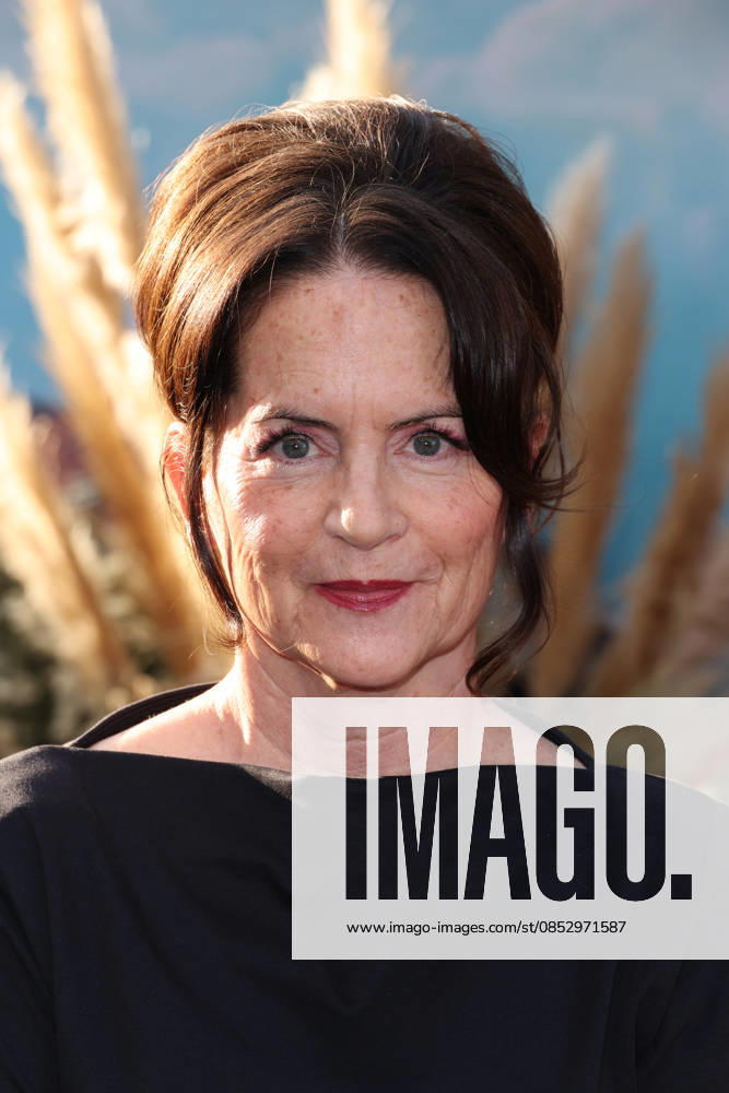 Los Angeles Premiere Of HBO s Euphoria Season 3 Martha Kelly at the Los Angeles Premiere Of HBO s Euphoria Season 3 held at the TCL Chinese Theatre IMAX on April 7, 2026 in Hollywood, Los Angeles, California, United States., Credit:Xavier Collin Avalon UK, California, Hollywood
