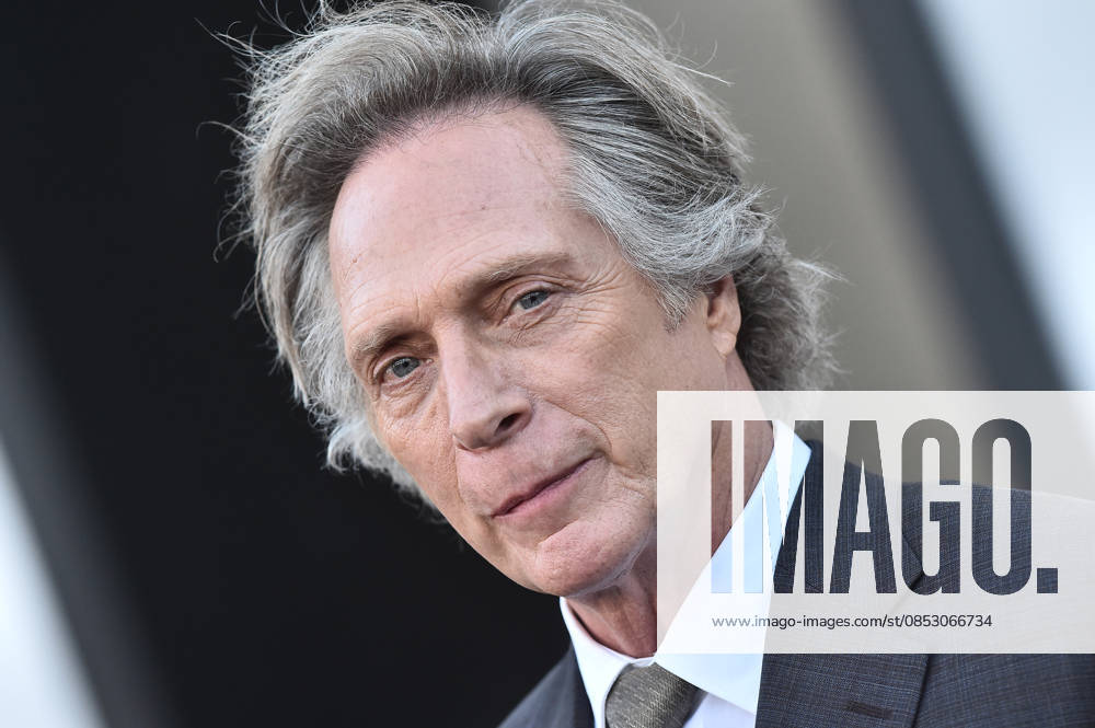˜Beef season 2 World Premiere William Fichtner arriving to ˜Beef season 2 World Premiere at Egyptian Theatre on April 08, 2026 in Hollywood, CA. Hollywood Egyptian Theatre California USA