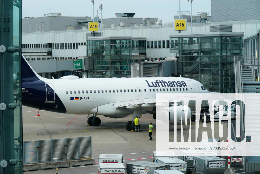 Düsseldorf, Nordrhein-Westfalen, Deutschland, Europa, Flughafen Düsseldorf, DUS Airport, Lufthansa, Lufthansa Group, Airbus A319, D-AIBL, Passagierflugzeug, Airline, Luftfahrt, Gate A15, Gate A16, Terminal, Boardingbrücke, Vorfeld, Flughafenbetrieb, Bodenabfertigung, Bodenpersonal, Warnwesten, Pushback, Abfertigung, Gepäckcontainer, Logistik, Rollfeld, Transport, Mobilität, Reise, Internationaler Flugverkehr, Infrastruktur, Wirtschaft, Tourismus, Streik, Warnstreik, Arbeitskampf, Tarifkonflikt, Gewerkschaft, Verdi, Flugausfall, Verspätung, Krisenmanagement Düsseldorf Nordrhein-Westfalen Deutschland