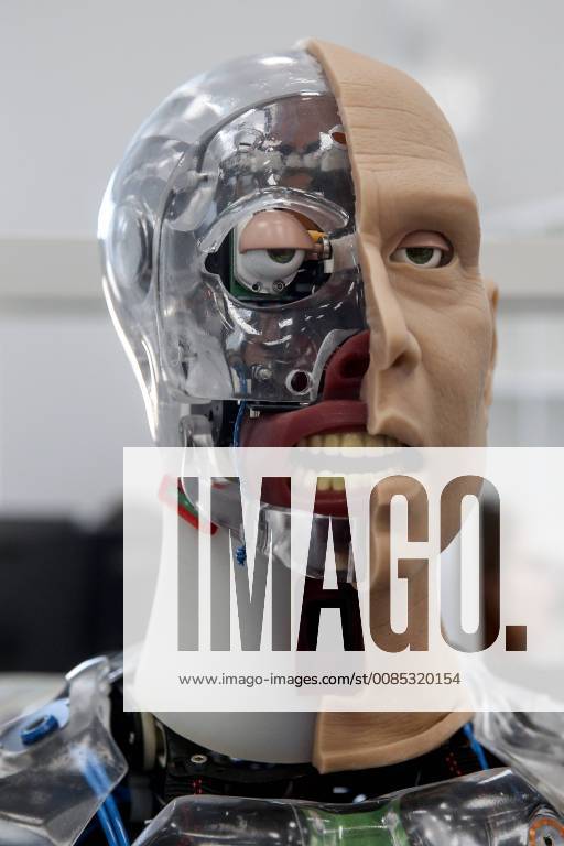 Assembling a human patient simulator at Kazan s Eidos-Medicine company manufacturing healthcare simulators for modern practical training of health professionals, as part of a project by the Skolkovo Innovation Centre. Yegor Aleyev TASS TS08F48E