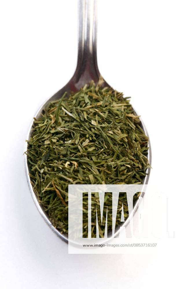 Dried rosemary on spoon - studio shot - Dried rosemary on spoon - studio shot