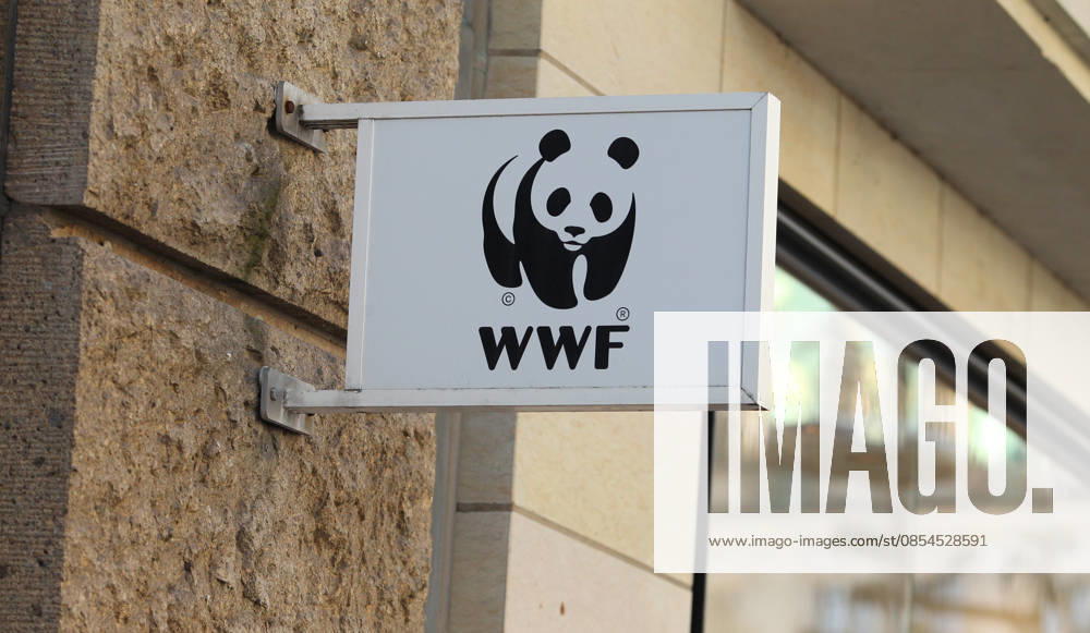 Schild an der Fassade der Bürogebäudes in der Mönckebergstraße vom Internationalen WWF-Zentrum für Meeresschutz der WWF Deutschland in Hamburg. Altstadt Hamburg