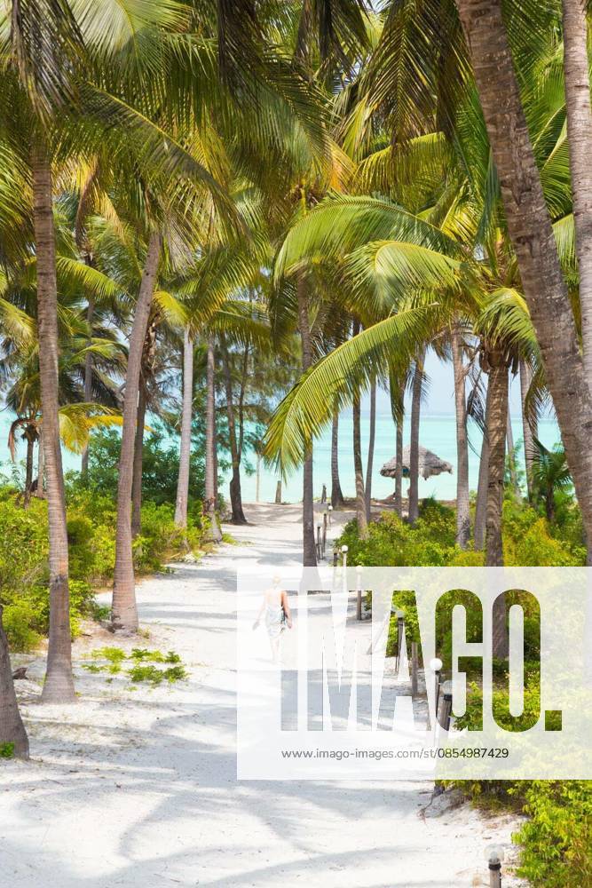 Relaxed woman on vacations wearing sarong, walking barefooted trough lush green palm garden of holiday resort on Paje beach, Zanzibar, Tanzania. Vertical composition. Copy space. model released Symbolfoto