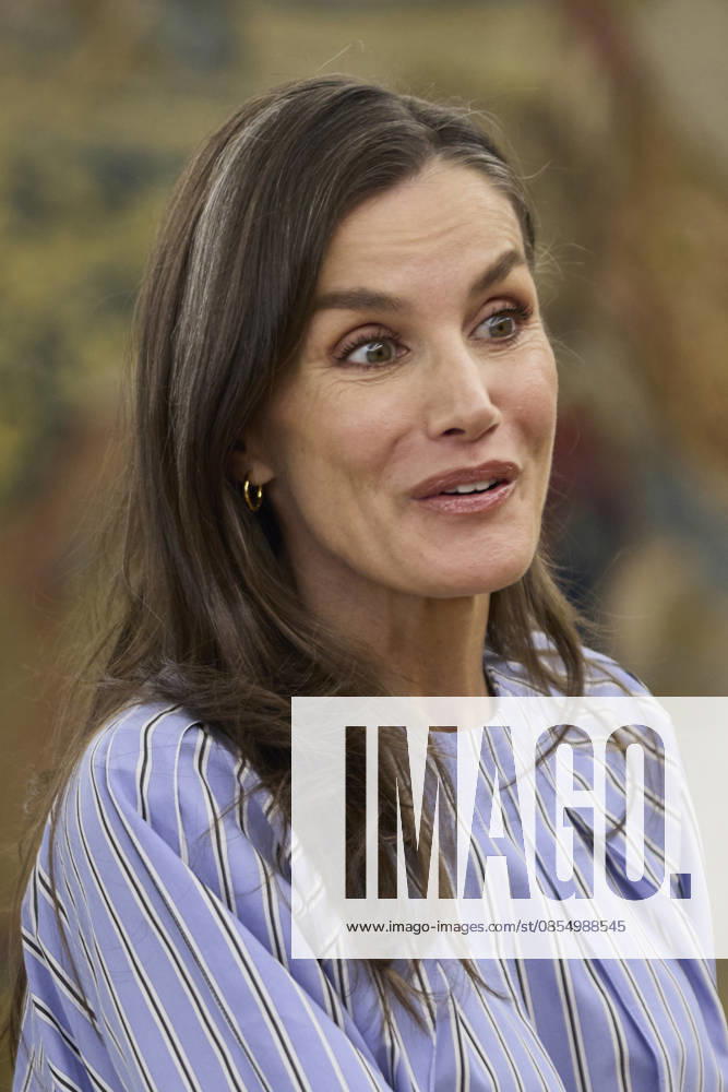 QUEEN LETIZIA of Spain attends several audiences Madrid Spain - ZUMAc260 20260428_zep_c260_004