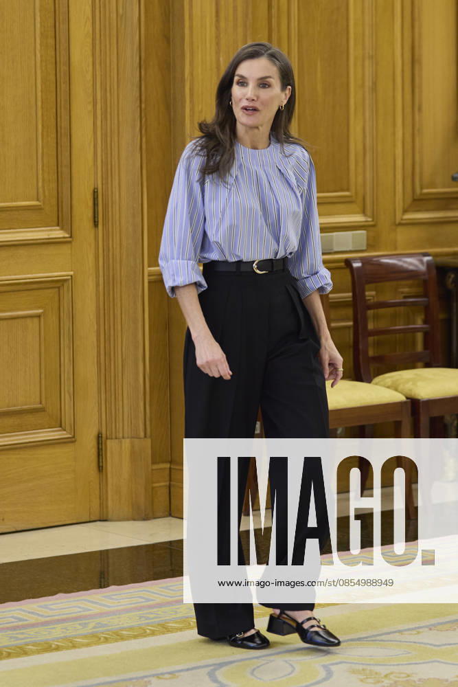 QUEEN LETIZIA of Spain attends several audiences Madrid Spain - ZUMAc260 20260428_zep_c260_006