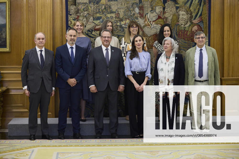 QUEEN LETIZIA of Spain attends several audiences Madrid Spain - ZUMAc260 20260428_zep_c260_010