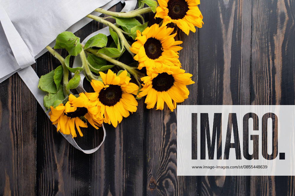 Frische Sonnenblumen mit Blättern am Stiel in einer Einkaufstasche auf einem Holzhintergrund. Flat Lay, Draufsicht, Freiraum. fresh sunflowers with leaves on stalk in shopping bag on wooden background. Flat lay, top view, copy space. Autumn or summer Concept, harvest time, agriculture. Sunflower natural background (License=RF)
