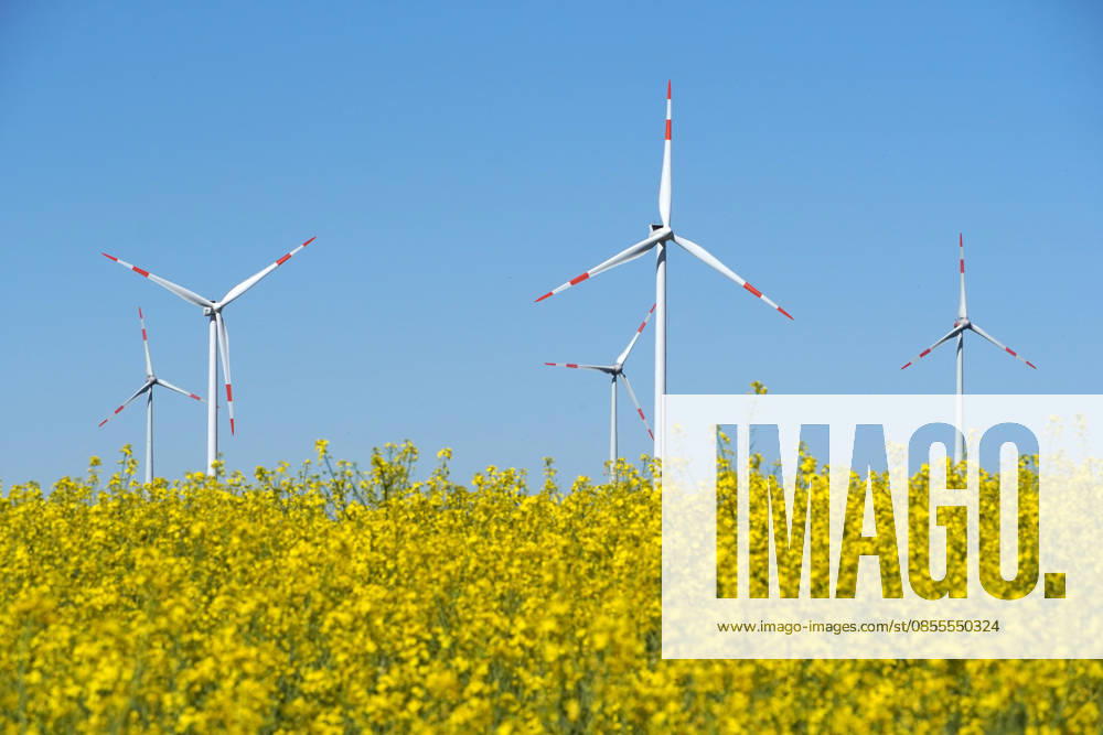 Kulturlandschaft mit Windrädern und blühendem Rapsfeld, nachhaltige Energiegewinnung, Landwirtschaft im Mai