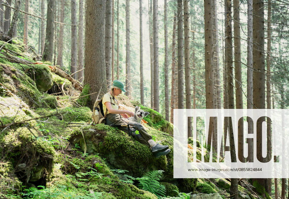Woman resting with dog in alpine forest in Austria Alps Obertauern, Salzburg, Austria CR_PJJZ260409-1990174-01 ,model released, Symbolfoto
