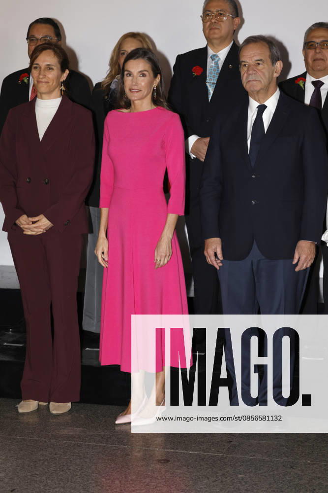 Queen Letizia presides over the inauguration of the XVII Ibero-American Conference of Ministers of Health Queen Letizia and the Minister of Health, Mónica García, arrive at the inauguration of the XVII Ibero-American Conference of Ministers of Health at the Teatro Real in Madrid, on May 14, 2026, in Madrid Spain QUEEN LETIZIA HEALTH MINISTERS HEALTH 14 MAY 2026 José Madrid Madrid Madrid Spain