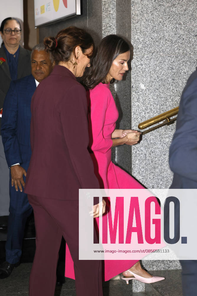 Queen Letizia presides over the inauguration of the XVII Ibero-American Conference of Ministers of Health Queen Letizia and the Minister of Health, Mónica García, arrive at the inauguration of the XVII Ibero-American Conference of Ministers of Health at the Teatro Real in Madrid, on May 14, 2026, in Madrid Spain QUEEN LETIZIA HEALTH MINISTERS HEALTH 14 MAY 2026 José Madrid Madrid Madrid Spain