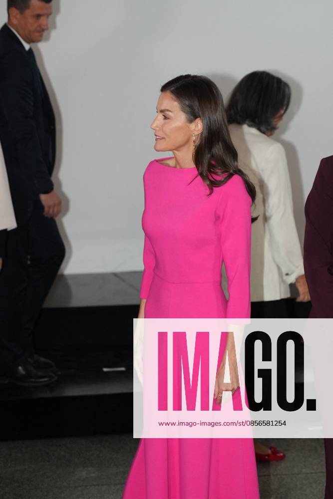 Spanish Queen Letizia attending the 17 edition of Encuetro iberoamericano sobre enfermedades raras in Madrid on Thursday, 14 May 2026. Cordon Press