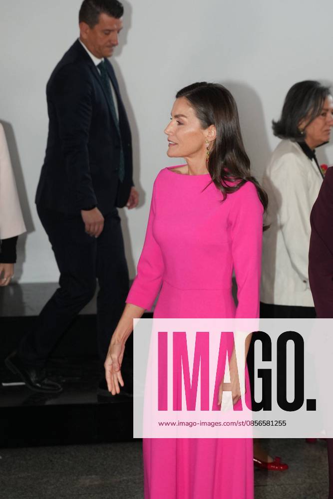Spanish Queen Letizia attending the 17 edition of Encuetro iberoamericano sobre enfermedades raras in Madrid on Thursday, 14 May 2026. Cordon Press