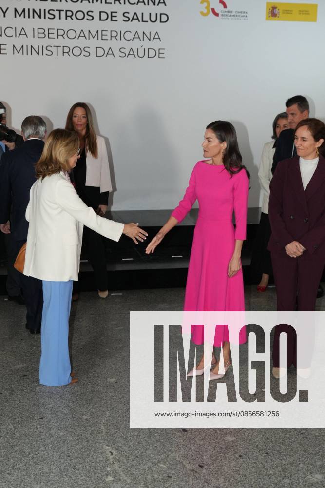 Spanish Queen Letizia attending the 17 edition of Encuetro iberoamericano sobre enfermedades raras in Madrid on Thursday, 14 May 2026. Cordon Press