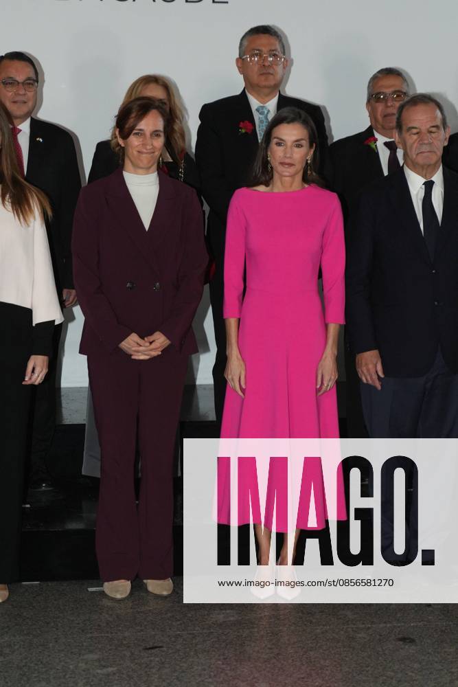 Spanish Queen Letizia attending the 17 edition of Encuetro iberoamericano sobre enfermedades raras in Madrid on Thursday, 14 May 2026. Cordon Press