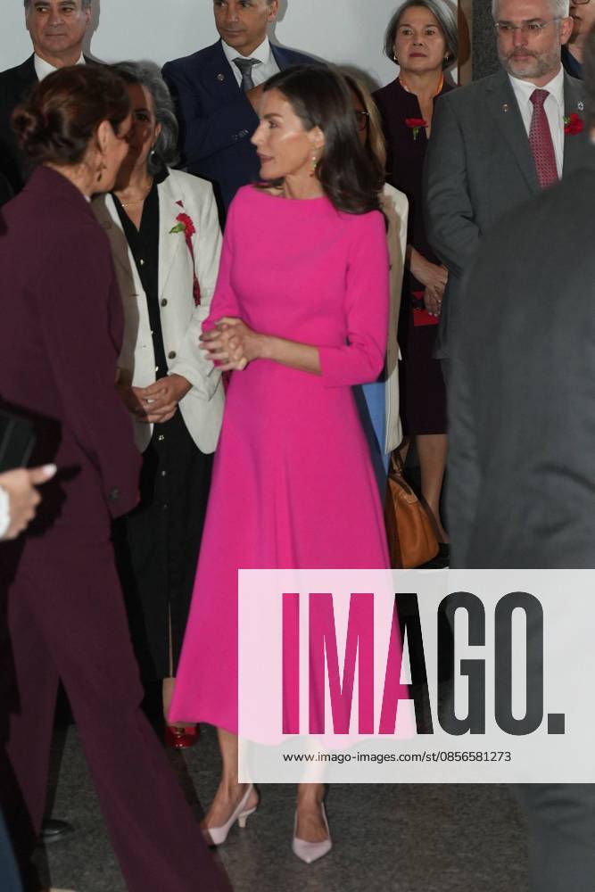 Spanish Queen Letizia attending the 17 edition of Encuetro iberoamericano sobre enfermedades raras in Madrid on Thursday, 14 May 2026. Cordon Press