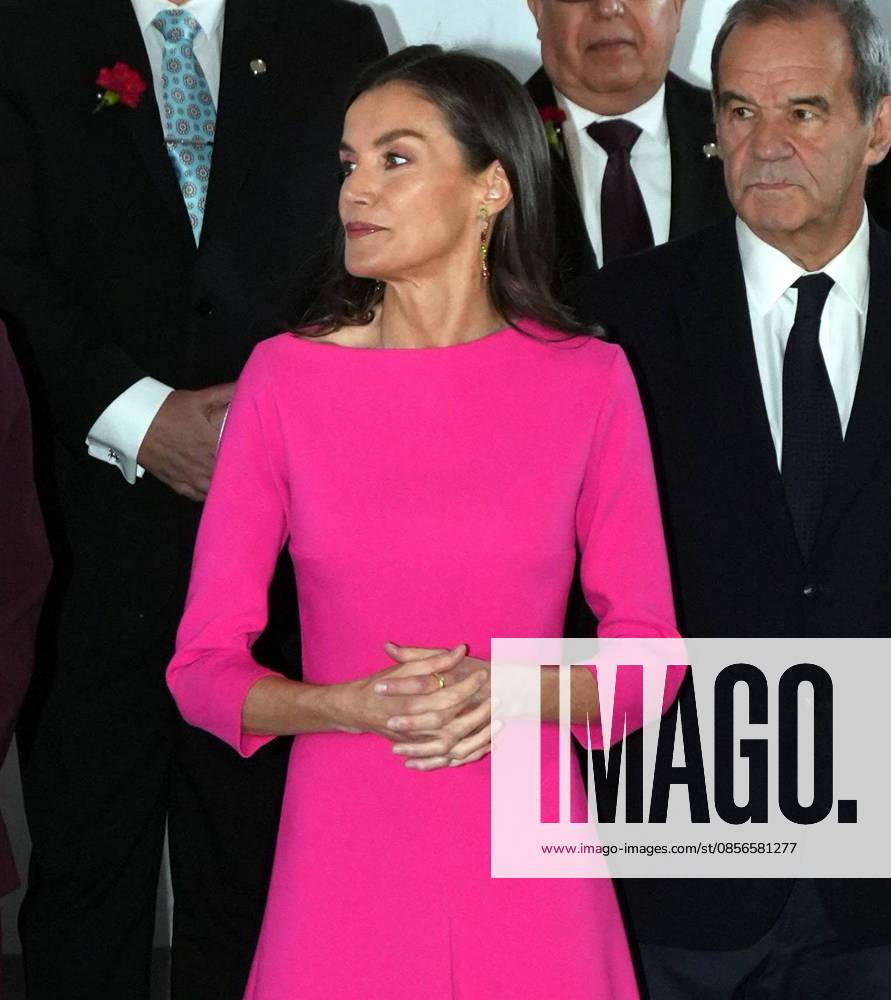 Spanish Queen Letizia attending the 17 edition of Encuetro iberoamericano sobre enfermedades raras in Madrid on Thursday, 14 May 2026. Cordon Press