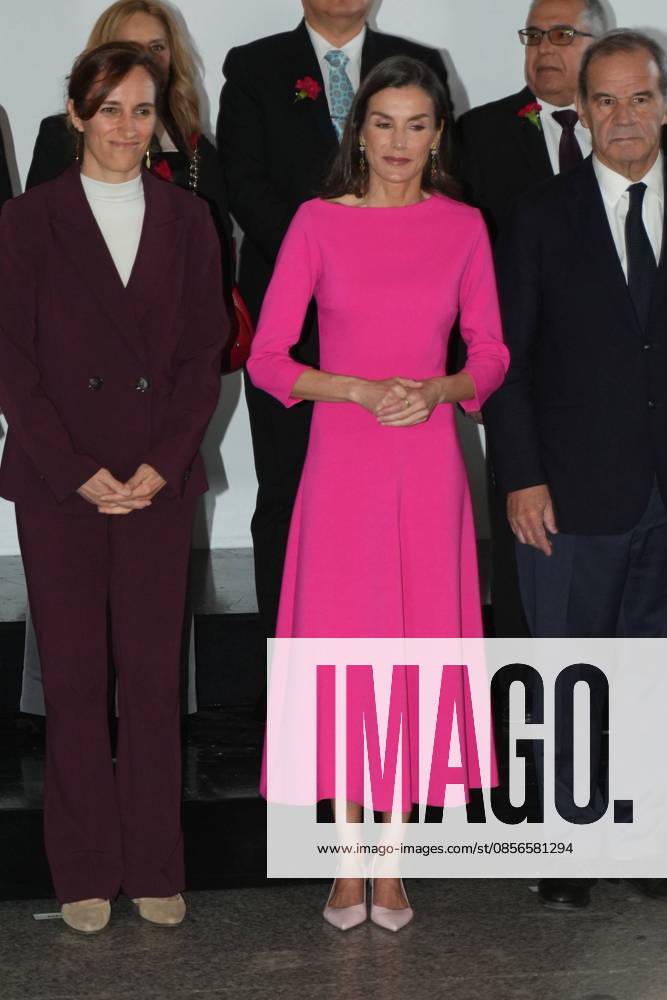 Spanish Queen Letizia attending the 17 edition of Encuetro iberoamericano sobre enfermedades raras in Madrid on Thursday, 14 May 2026. Cordon Press