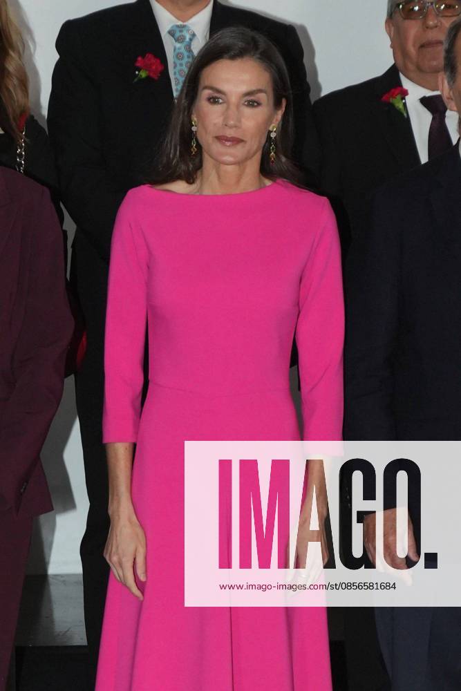 Spanish Queen Letizia attending the 17 edition of Encuetro iberoamericano sobre enfermedades raras in Madrid on Thursday, 14 May 2026. Cordon Press
