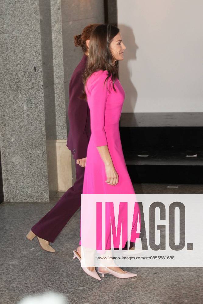 Spanish Queen Letizia attending the 17 edition of Encuetro iberoamericano sobre enfermedades raras in Madrid on Thursday, 14 May 2026. Cordon Press