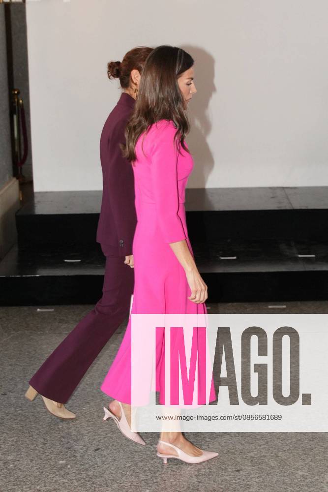 Spanish Queen Letizia attending the 17 edition of Encuetro iberoamericano sobre enfermedades raras in Madrid on Thursday, 14 May 2026. Cordon Press