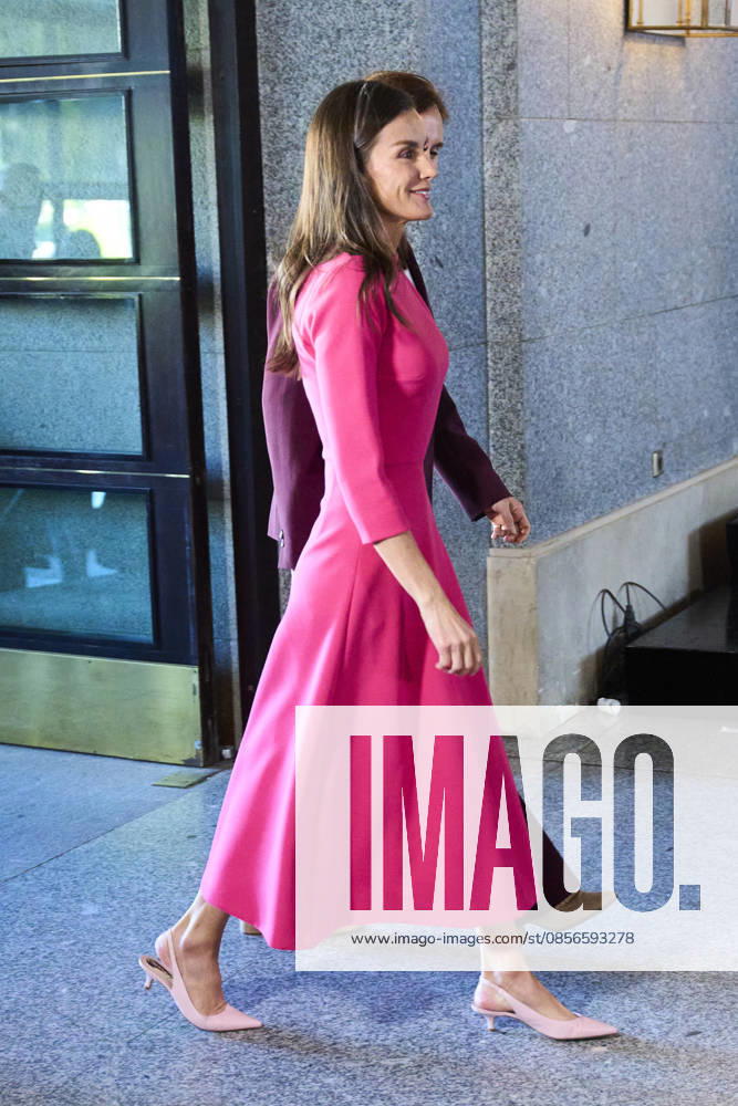 Queen Letizia attends Opening of the 17th Ibero-American Conference of Health Ministers Queen Letizia of Spain attends Opening of the 17th Ibero-American Conference of Health Ministers at Royal Theatre on May 14, 2026 in Madrid, Spain Photo by IMAGO MPG Madrid Royal Theatre Madrid Spain