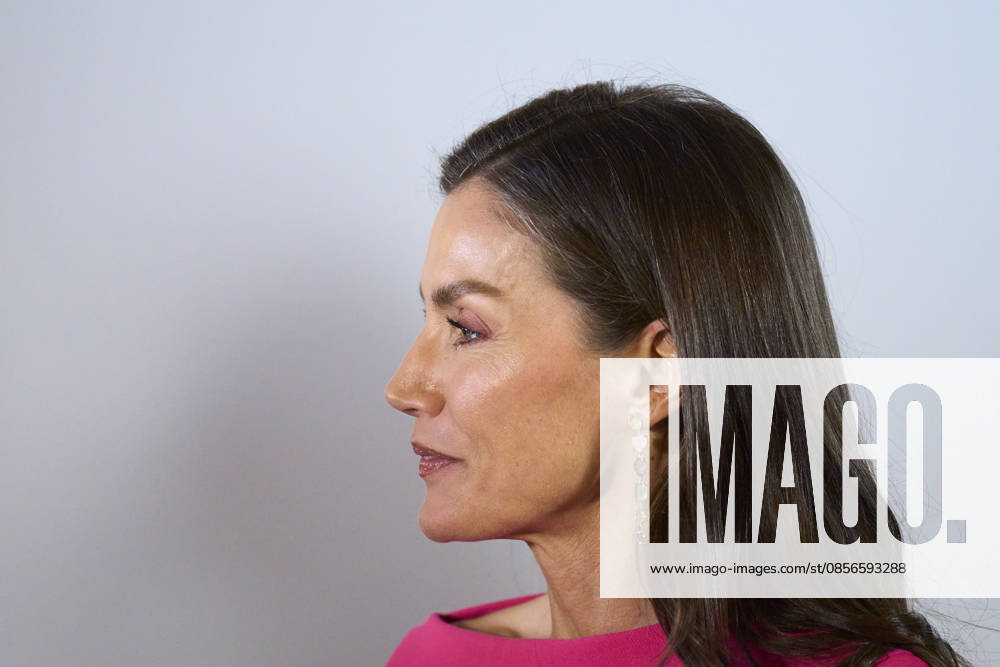 Queen Letizia attends Opening of the 17th Ibero-American Conference of Health Ministers Queen Letizia of Spain attends Opening of the 17th Ibero-American Conference of Health Ministers at Royal Theatre on May 14, 2026 in Madrid, Spain Photo by IMAGO MPG Madrid Royal Theatre Madrid Spain